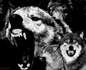 Ravening Wolves